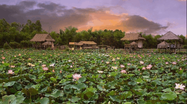 đồng Thápp